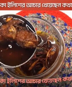 ইলিশ মাছের স্পেশাল আচার ৫০০ গ্রাম